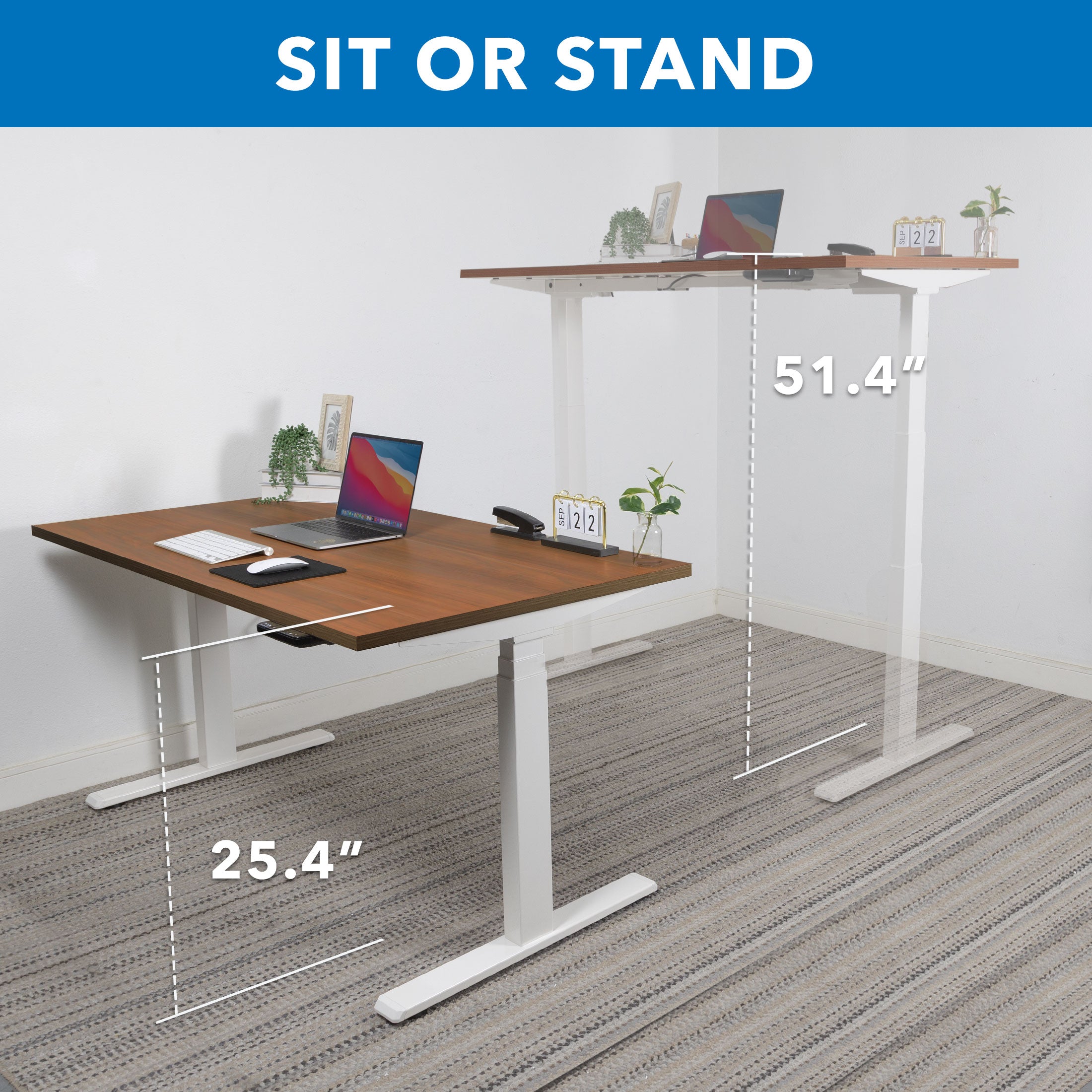 Ultimate Dual Motor Electric Standing Desk with 55" Tabletop - White Base/Brown Top