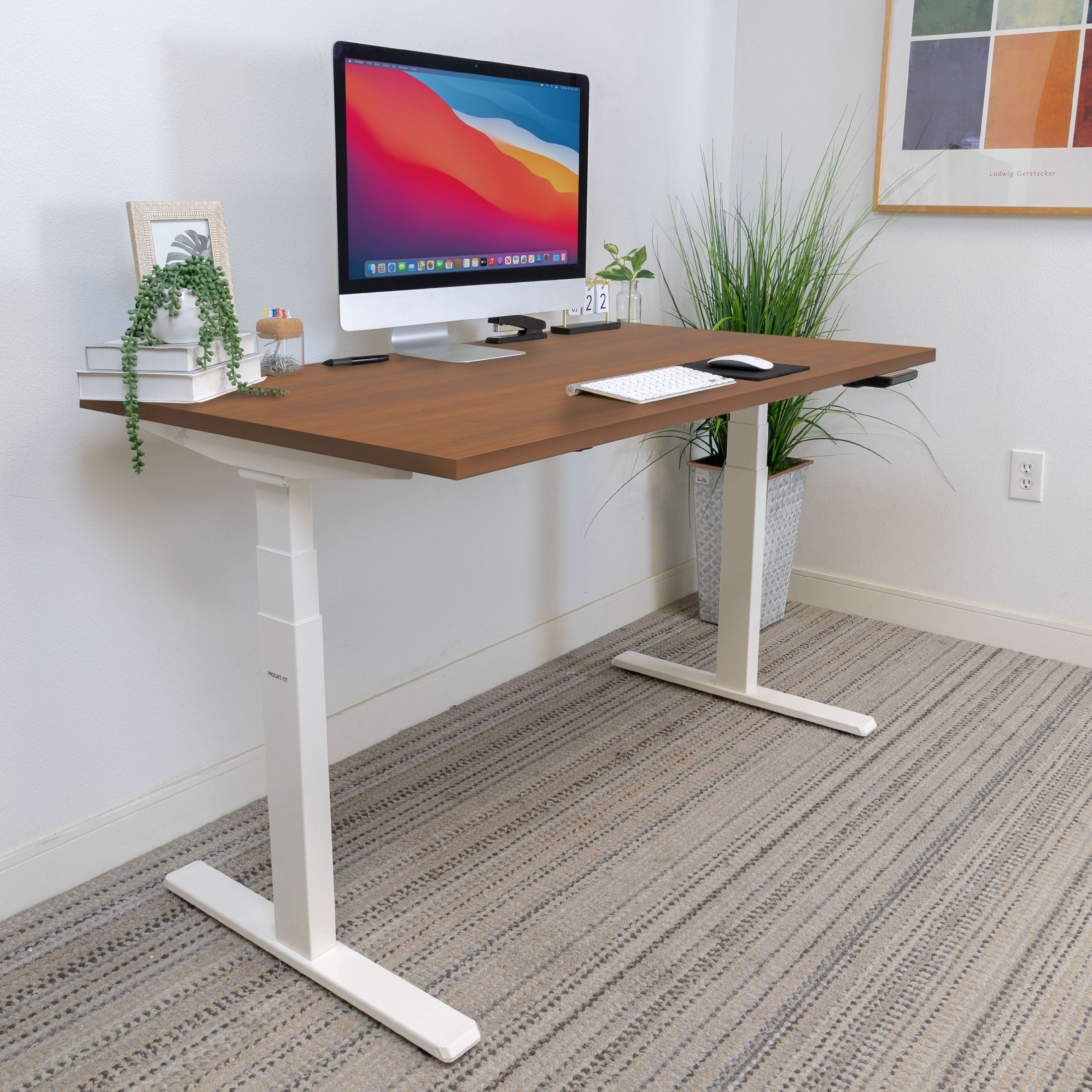 Ultimate Dual Motor Electric Standing Desk with 55" Tabletop - White Base/Brown Top