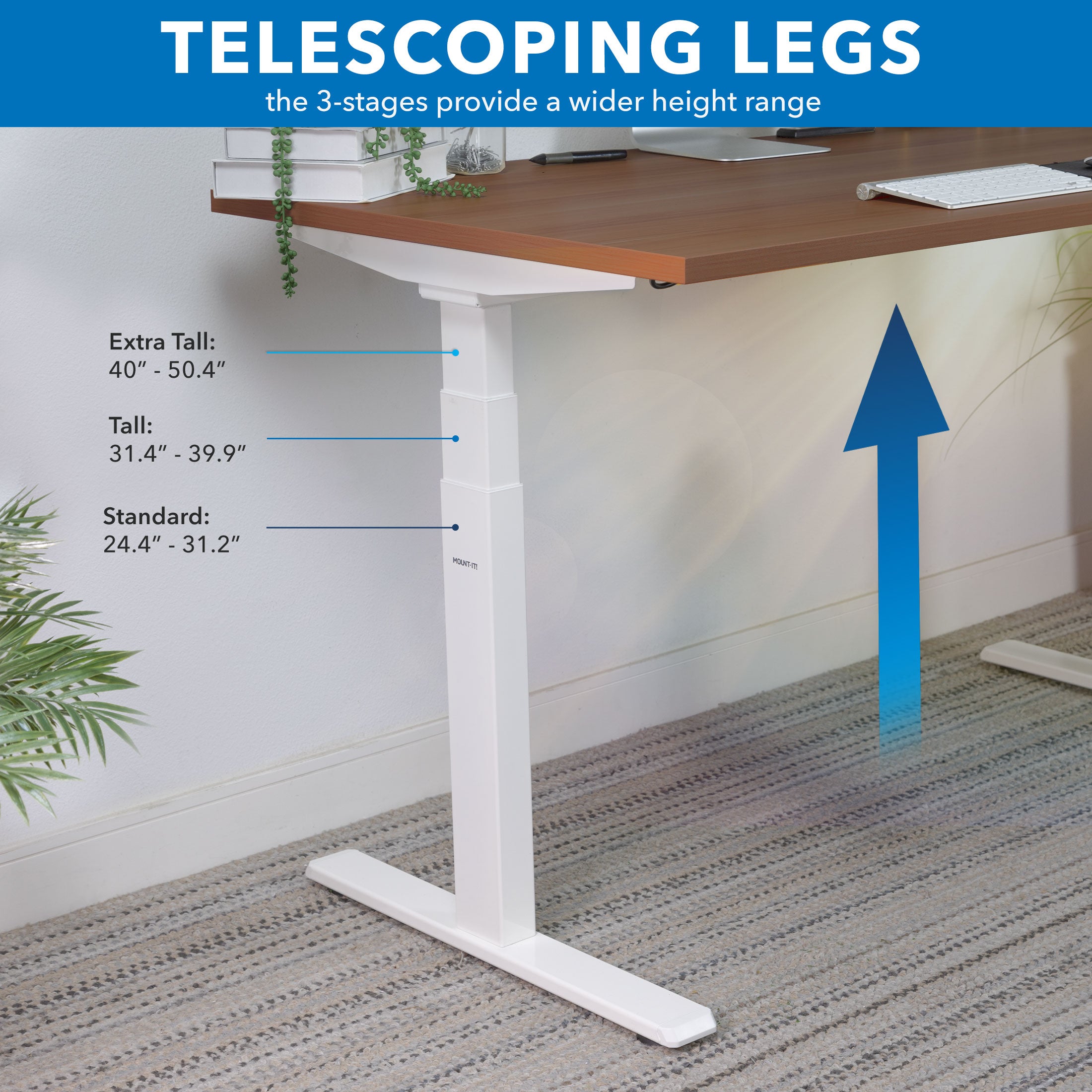 Ultimate Dual Motor Electric Standing Desk with 55" Tabletop - White Base/Brown Top