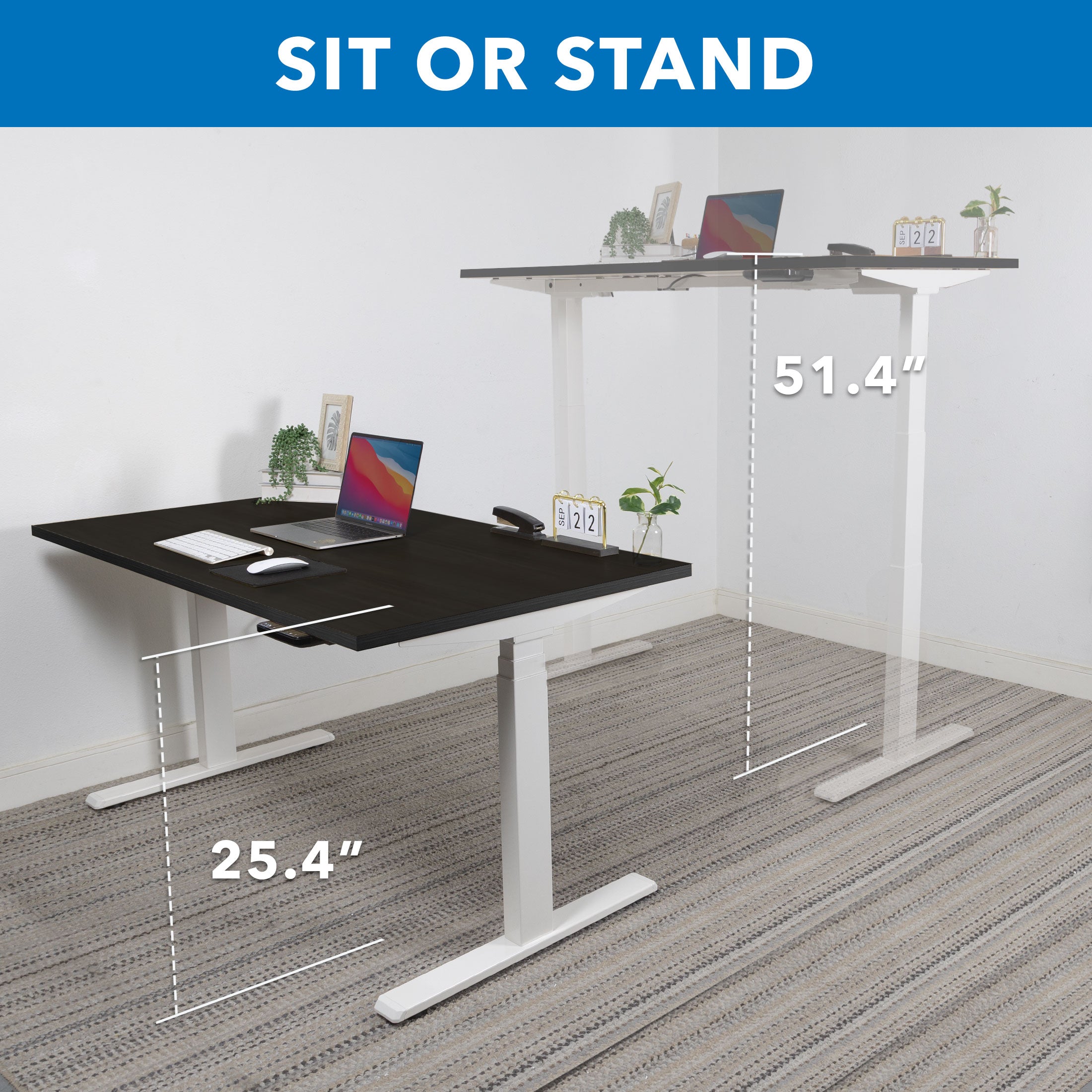 Ultimate Dual Motor Electric Stranding Desk with 55" Tabletop - White Base/Black Top