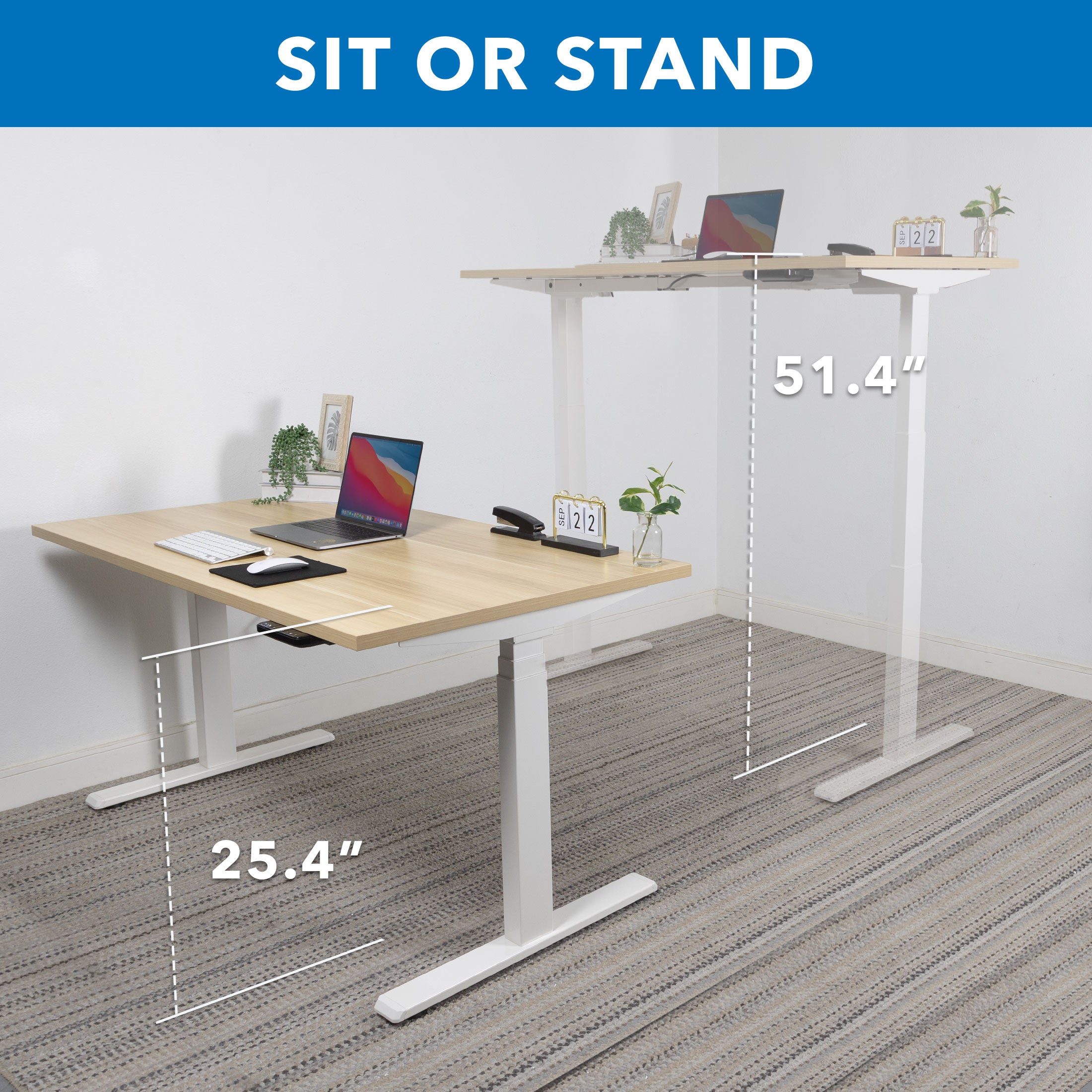 Ultimate Dual Motor Electric Standing Desk with 55" Tabletop - White Base/Maple Top